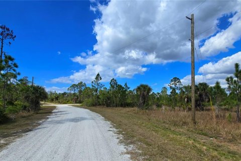 Terreno en venta en Punta Gorda, Florida № 1521628 - foto 19