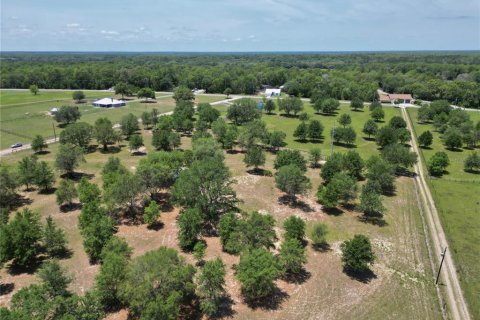 Terreno en venta en Ocklawaha, Florida № 1747117 - foto 18