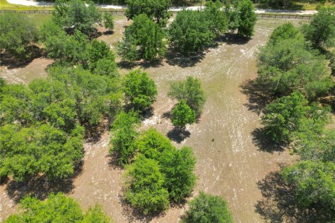 Terreno en venta en Ocklawaha, Florida № 1747117 - foto 11