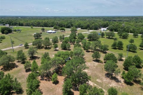 Terreno en venta en Ocklawaha, Florida № 1747117 - foto 17