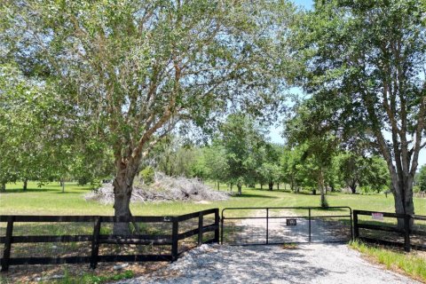 Terreno en venta en Ocklawaha, Florida № 1747117 - foto 1