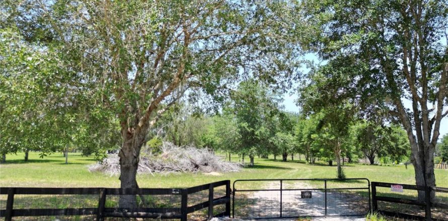 Terreno en Ocklawaha, Florida № 1747117