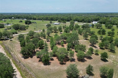 Terreno en venta en Ocklawaha, Florida № 1747117 - foto 19