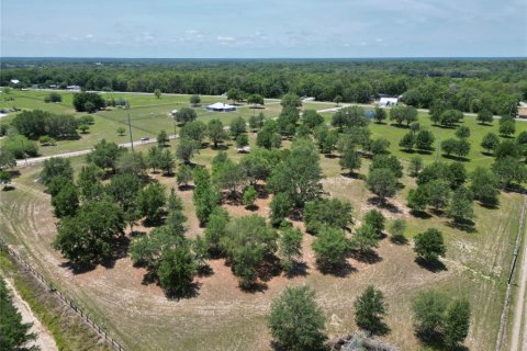 Terreno en venta en Ocklawaha, Florida № 1747117 - foto 20
