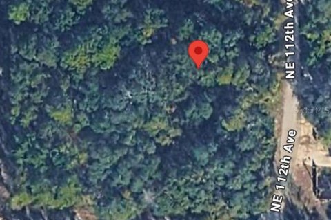 Land in Fort MC Coy, Florida № 2158726 - photo 3