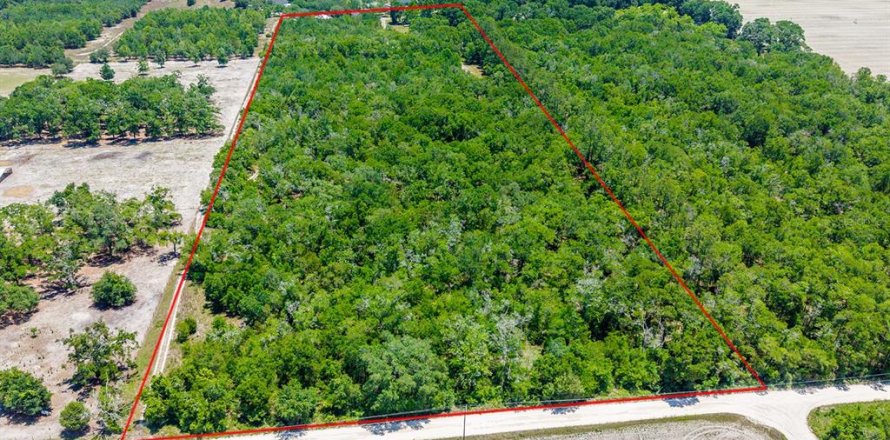 Terreno en Bell, Florida № 2097511