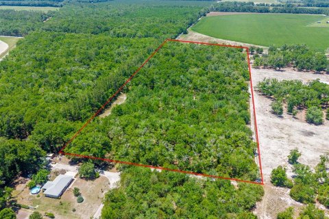 Terreno en venta en Bell, Florida № 2097511 - foto 3