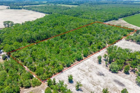 Terreno en venta en Bell, Florida № 2097511 - foto 4