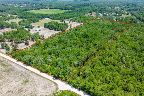 Terreno en venta en Bell, Florida № 2097511 - foto 2