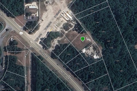 Commercial property in Dunnellon, Florida № 1565972 - photo 2