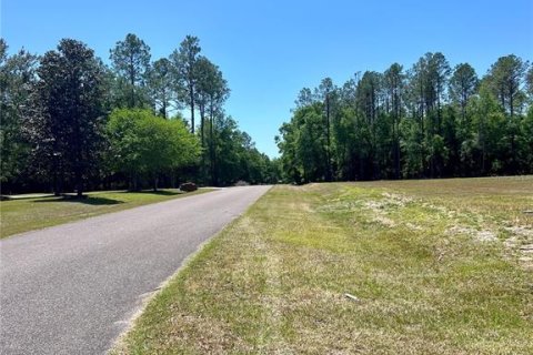 Terreno en venta en Alachua, Florida № 1722115 - foto 6