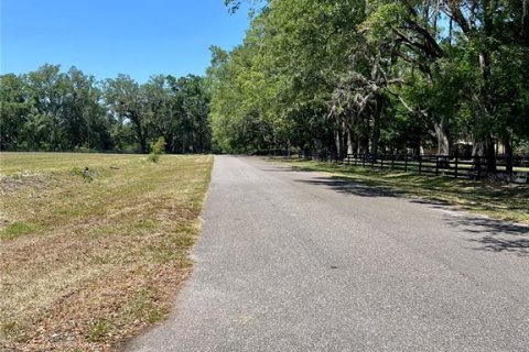 Terreno en venta en Alachua, Florida № 1722115 - foto 5