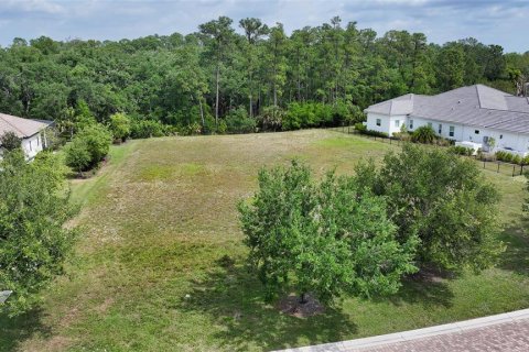 Land in Lakewood Ranch, Florida № 1113823 - photo 10