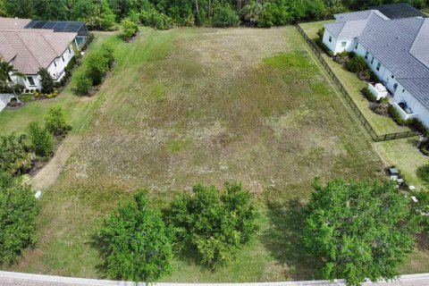 Land in Lakewood Ranch, Florida № 1113823 - photo 16