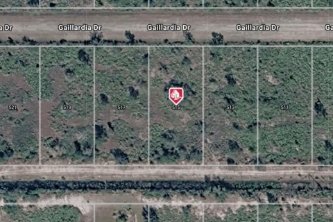 Terrain à Indian lake estates, Floride № 2228921