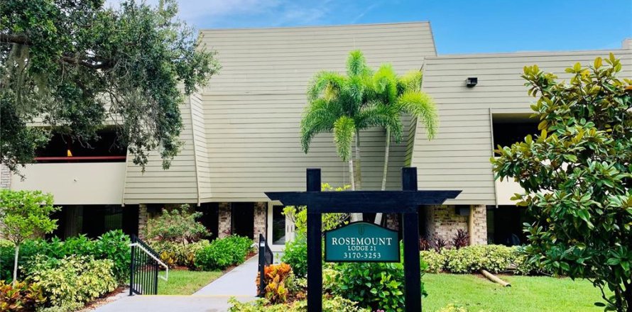 Condo à Palm Harbor, Floride, 2 chambres  № 1718833