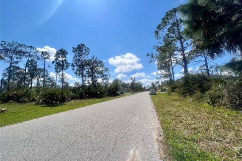 Land in Port Charlotte, Florida № 2160072 - photo 3