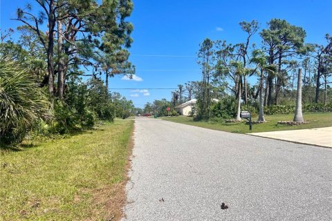 Land in Port Charlotte, Florida № 2160072 - photo 2