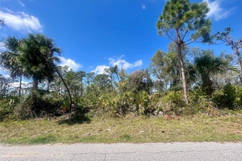 Land in Port Charlotte, Florida № 2160072
