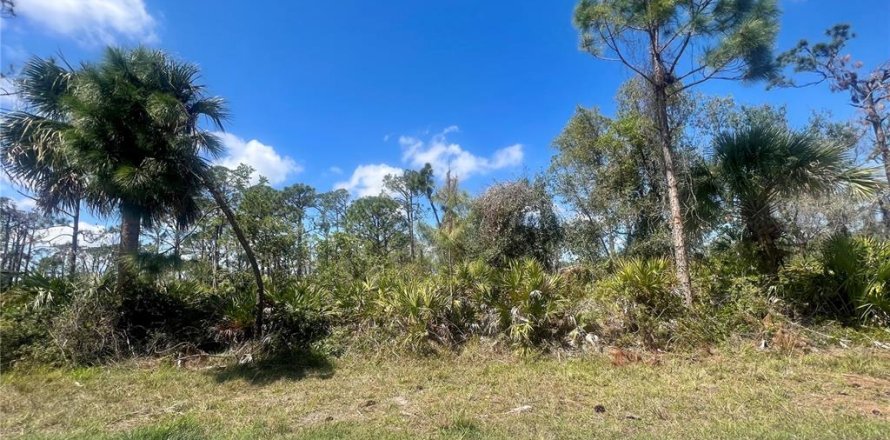 Land in Port Charlotte, Florida № 2160072