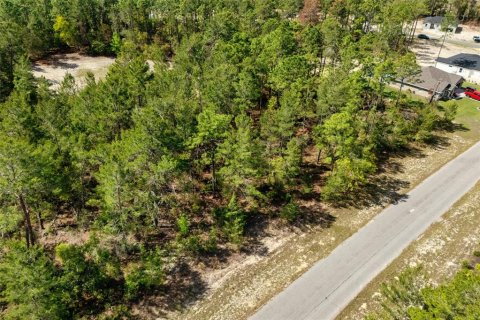 Terrain à vendre à Ocala, Floride № 1620182 - photo 7