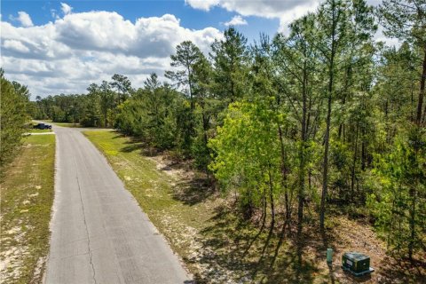 Terrain à vendre à Ocala, Floride № 1620182 - photo 9