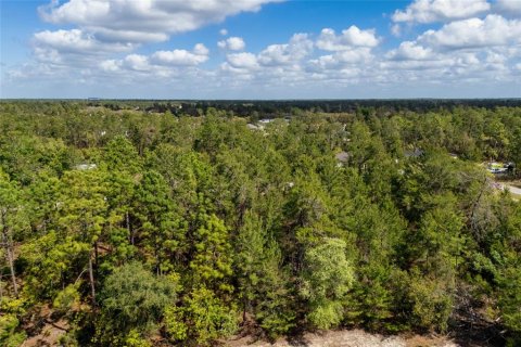 Terrain à vendre à Ocala, Floride № 1620182 - photo 8