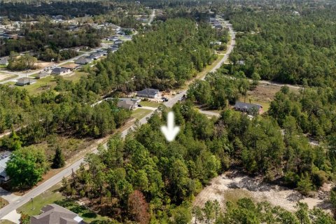 Terrain à vendre à Ocala, Floride № 1620182 - photo 2
