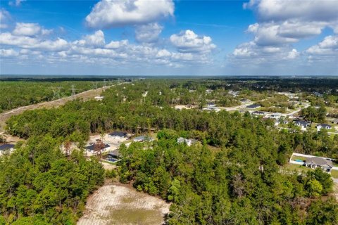 Terrain à vendre à Ocala, Floride № 1620182 - photo 3