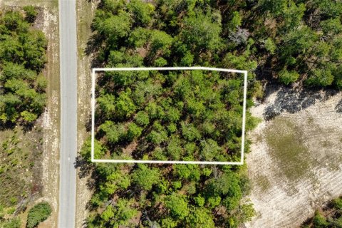 Terrain à vendre à Ocala, Floride № 1620182 - photo 1