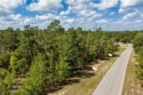 Terrain à vendre à Ocala, Floride № 1620182 - photo 10