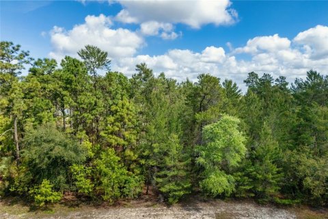 Terrain à vendre à Ocala, Floride № 1620182 - photo 5