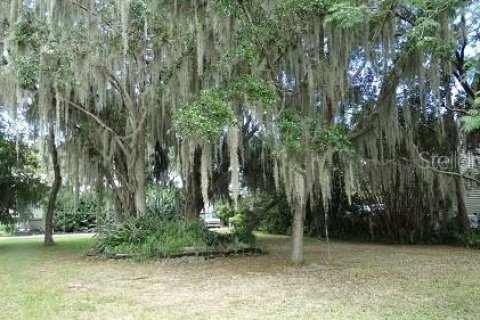 Land in Winter Garden, Florida № 2235459 - photo 6