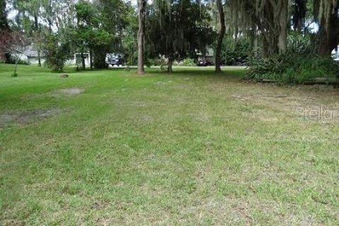 Land in Winter Garden, Florida № 2235459 - photo 5