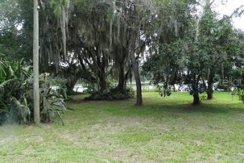 Land in Winter Garden, Florida № 2235459