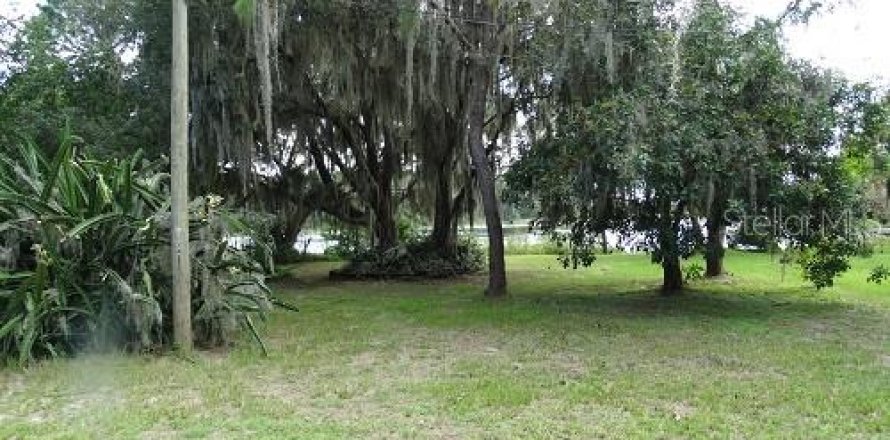 Land in Winter Garden, Florida № 2235459
