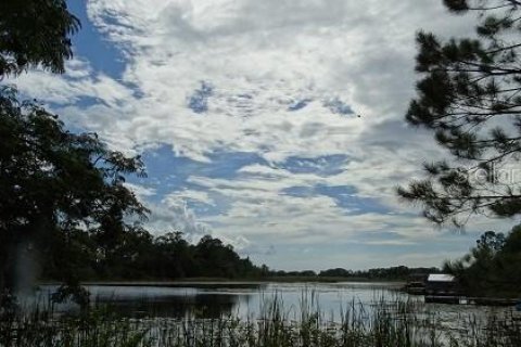 Land in Winter Garden, Florida № 2235459 - photo 3
