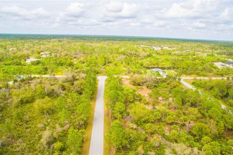 Land in Port Charlotte, Florida № 2228541 - photo 2