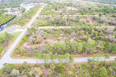 Land in Port Charlotte, Florida № 2228541 - photo 4