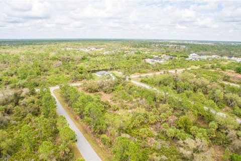 Land in Port Charlotte, Florida № 2228541 - photo 7