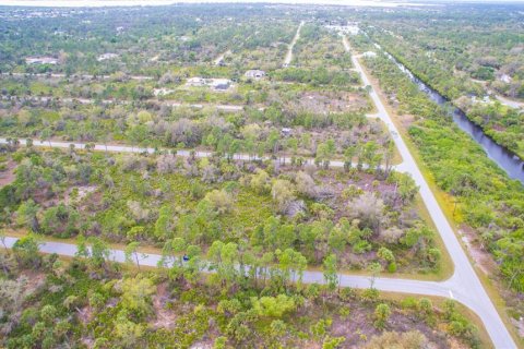 Land in Port Charlotte, Florida № 2228541 - photo 3