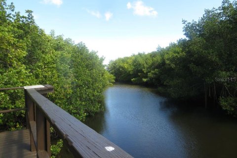 Adosado en alquiler en Clearwater, Florida, 2 dormitorios, 79.25 m2 № 1573661 - foto 19