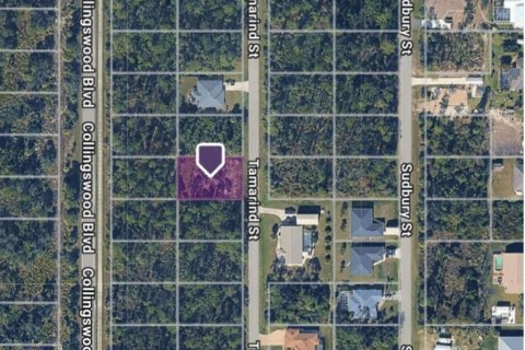 Terreno en Port Charlotte, Florida № 2206429