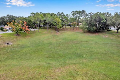 Condo in Palm Harbor, Florida, 2 bedrooms № 2098336 - photo 3