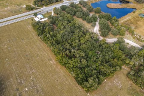 Commercial property in Osteen, Florida 112.41 sq.m. № 2108895 - photo 9