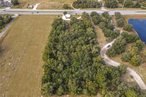 Commercial property in Osteen, Florida 112.41 sq.m. № 2108895 - photo 8