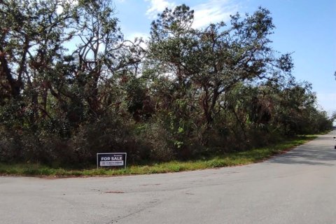 Land in Port Charlotte, Florida № 2289660