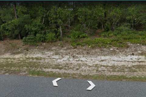 Terreno en venta en Citrus Springs, Florida № 2217783 - foto 2