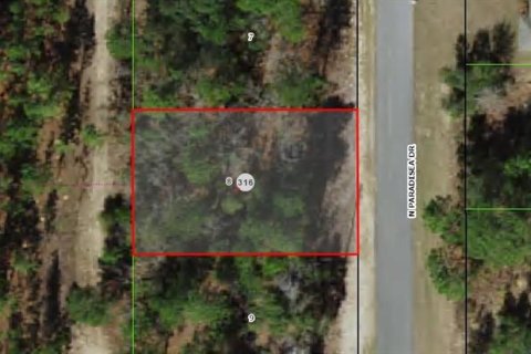 Terreno en Citrus Springs, Florida № 2217783