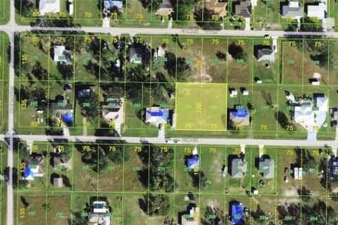 Land in Punta Gorda, Florida № 2277596